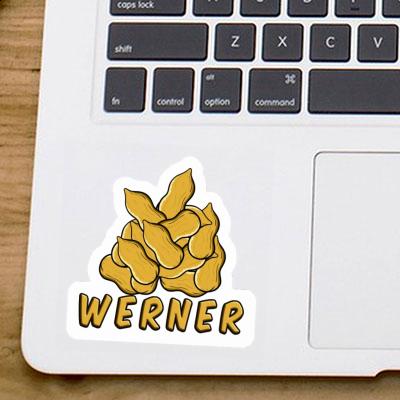 Nut Sticker Werner Gift package Image