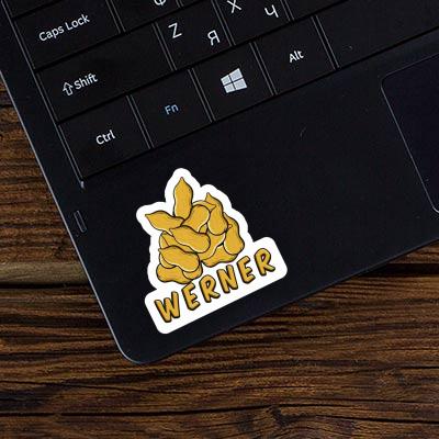 Nut Sticker Werner Laptop Image
