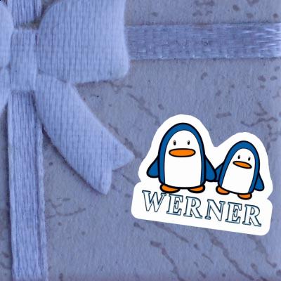 Sticker Pinguin Werner Laptop Image