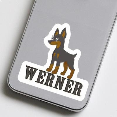 Werner Autocollant Pinscher Gift package Image