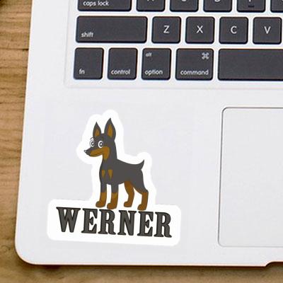 Werner Autocollant Pinscher Laptop Image