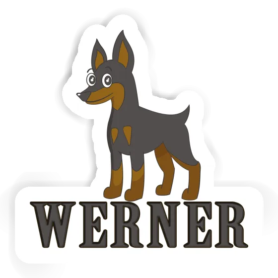 Sticker Pinscher Werner Laptop Image