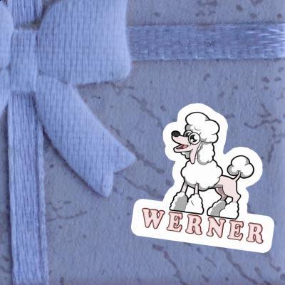 Caniche Autocollant Werner Gift package Image