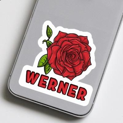 Sticker Rosenblüte Werner Laptop Image