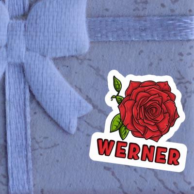 Rose Autocollant Werner Image
