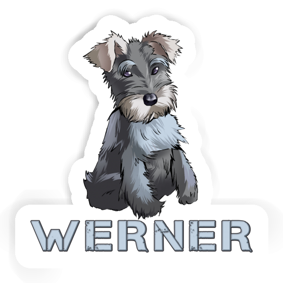 Autocollant Werner Schnauzer Gift package Image