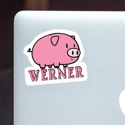 Werner Sticker Schwein Laptop Image