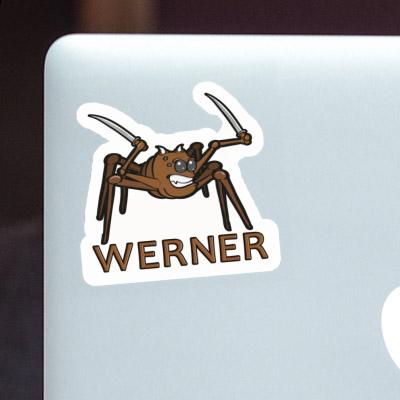 Sticker Spider Werner Image