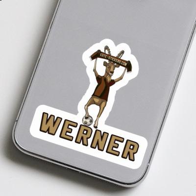 Werner Autocollant Bouquetin Laptop Image