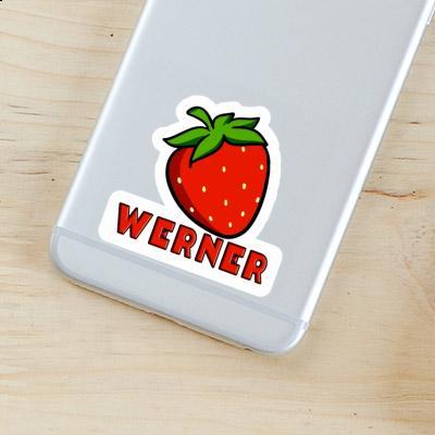 Strawberry Sticker Werner Image