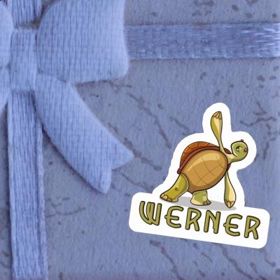 Sticker Werner Yoga-Schildkröte Gift package Image
