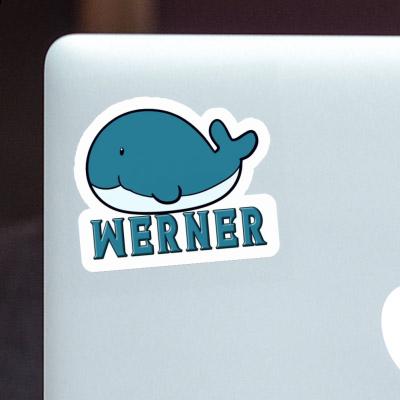 Whale Fish Sticker Werner Image