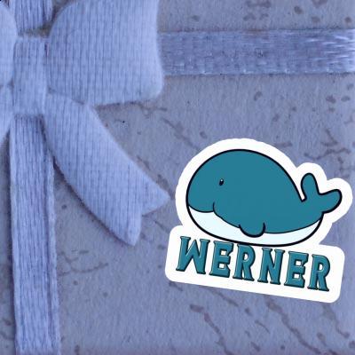 Whale Fish Sticker Werner Laptop Image