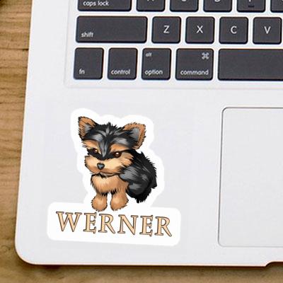 Sticker Yorkshire Terrier Werner Laptop Image