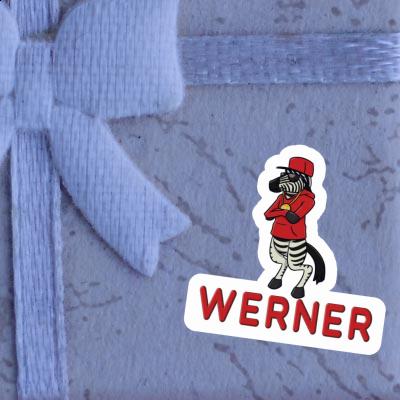 Werner Sticker Zebra Gift package Image