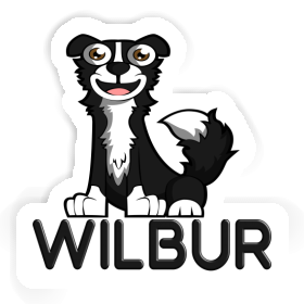 Sticker Border Collie Wilbur Image