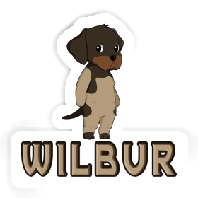 Sticker Wilbur German Wirehaired Pointer Image