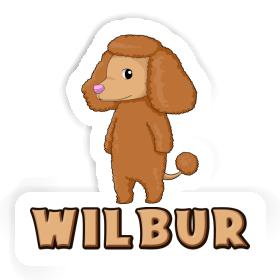 Wilbur Sticker Poodle Image