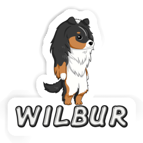 Sticker Wilbur Sheltie Image