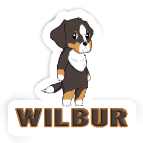 Sticker Bernese Mountain Dog Wilbur Image