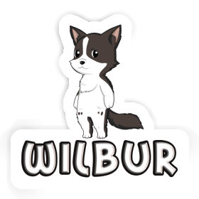Sticker Border Collie Wilbur Image