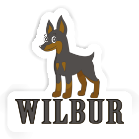 Pinscher Sticker Wilbur Image