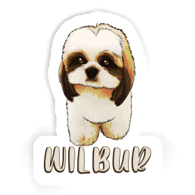 Sticker Wilbur Shih Tzu Image