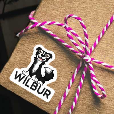 Sticker Border Collie Wilbur Notebook Sticker Border Collie Wilbur Notebook Image