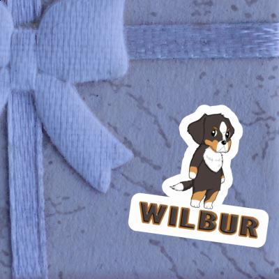 Sticker Wilbur Berner Sennenhund Laptop Sticker Wilbur Berner Sennenhund Laptop Image