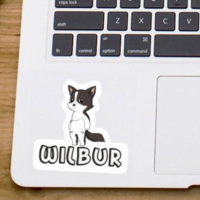 Sticker Border Collie Wilbur Notebook Sticker Border Collie Wilbur Gift package Image