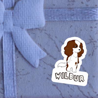 Sticker Wilbur Cavalier King Charles Spaniel Gift package Image