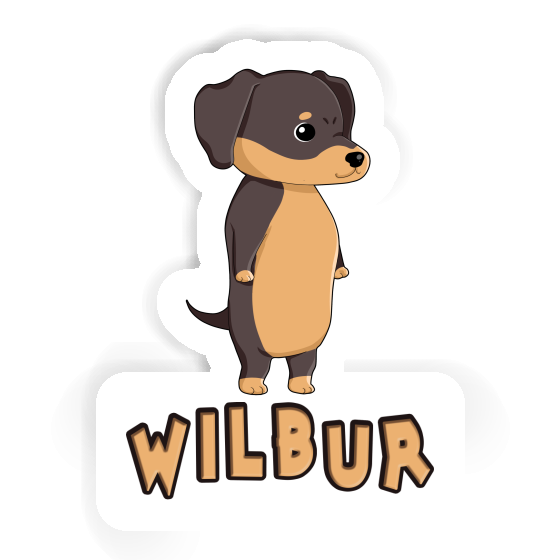 Sticker Dachshund Wilbur Laptop Sticker Dachshund Wilbur Laptop Image