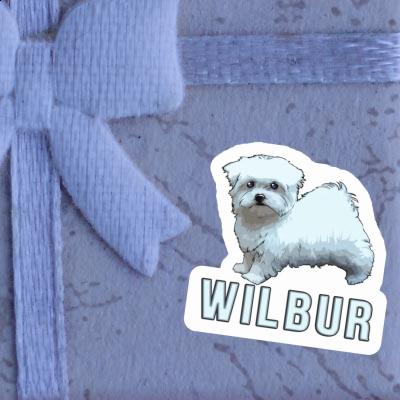 Sticker Maltese Dog Wilbur Gift package Image
