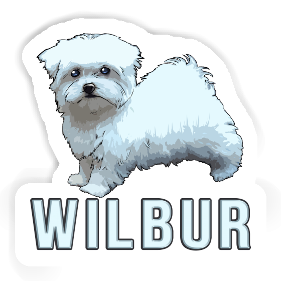 Sticker Maltese Dog Wilbur Laptop Image