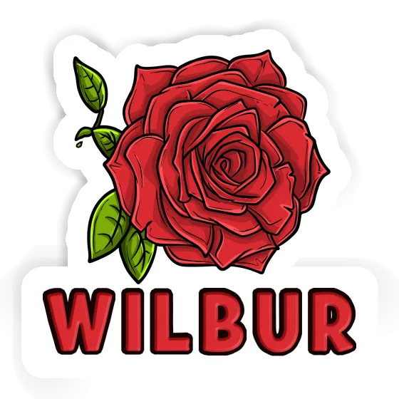 Autocollant Wilbur Rose Gift package Image