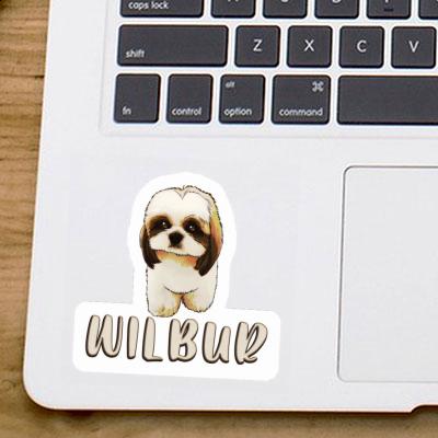 Sticker Wilbur Shih Tzu Sticker Wilbur Shih Tzu Image